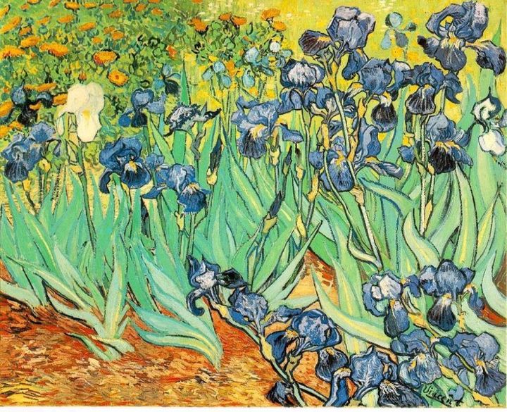 739px-vangogh-irises-1889.jpg