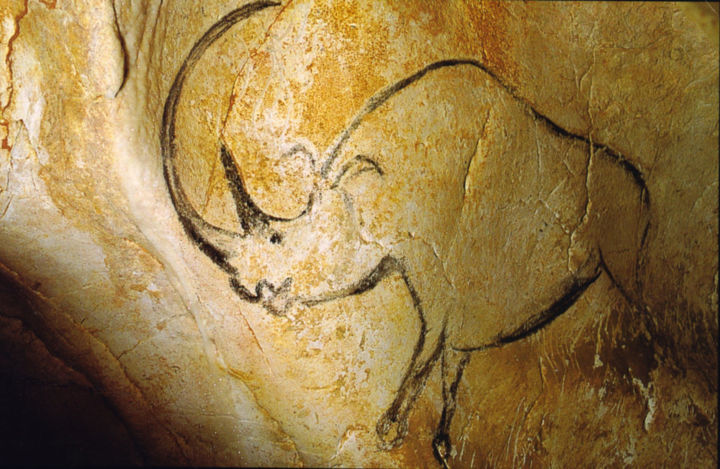 rhinoceros-grotte-chauvet.jpg