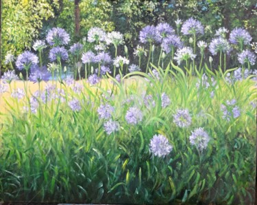 Agapantos (Agapanthus)